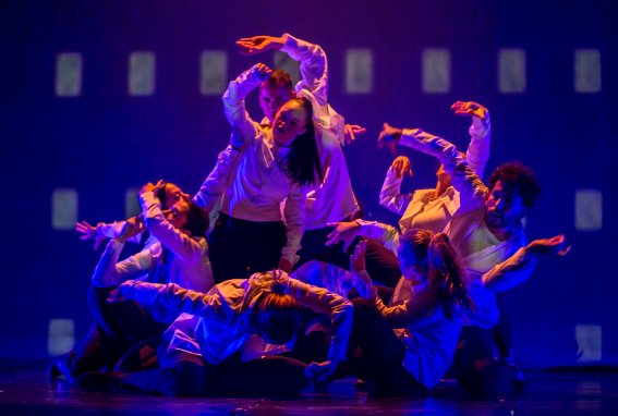 FADIS, Festival de Artes y discapacidad 2025