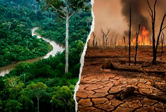 Noche 2 Bosque Amazónico: Los puntos de NO retorno