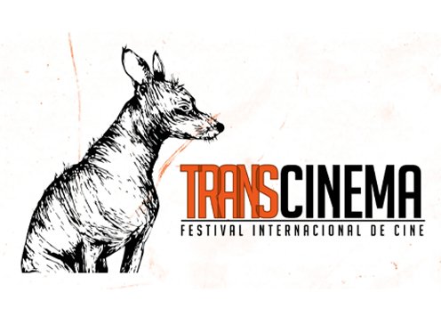 Festival de cine Transcinema