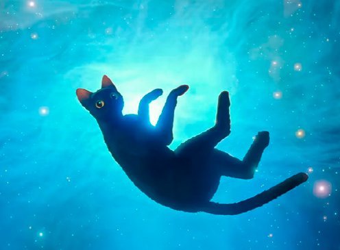 Ciclo “Últimas Luces del Año” – Cine para reconectar