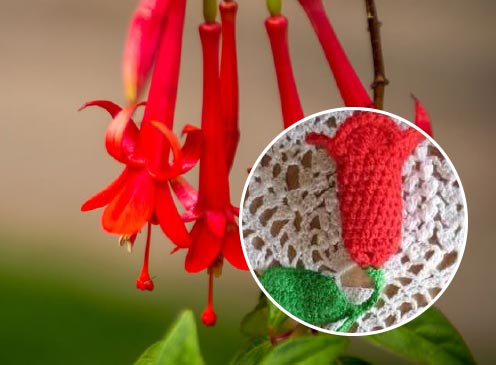 Tejiendo la flor nacional del Perú