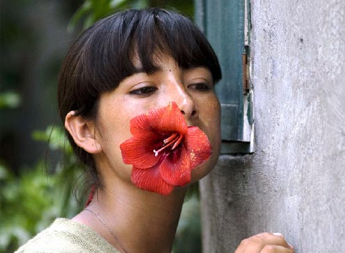 Memoria, Territorio, Cine